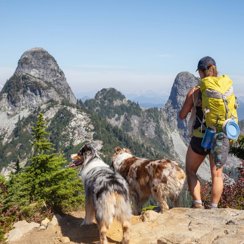 Vacanza Pet Friendly in Trentino