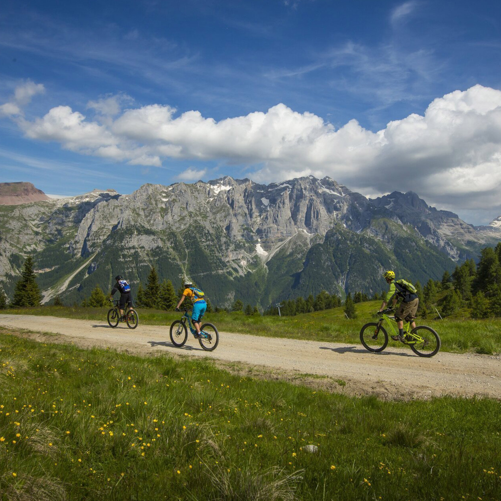 Attività E-Bike