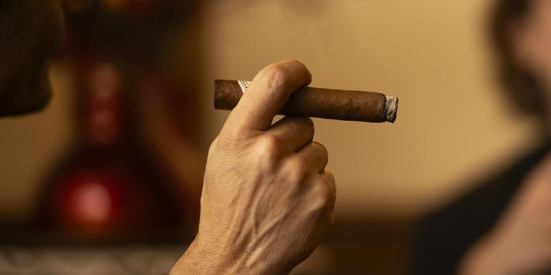 An elegant hand holds a cigar, warm and relaxed atmosphere.
